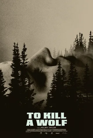 To Kill A Wolf (2025) — Thriller film poster